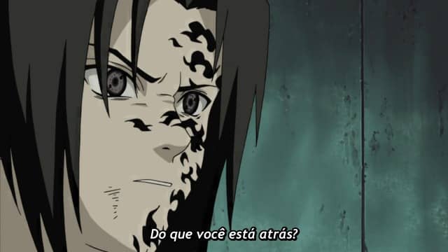 Naruto Shippuden Dublado Episódio 113