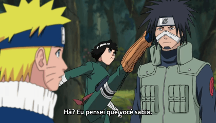 Naruto Shippuden Dublado Episódio 185