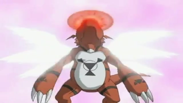 Digimon Tamers Dublado Episódio - 6Renamon digivolve