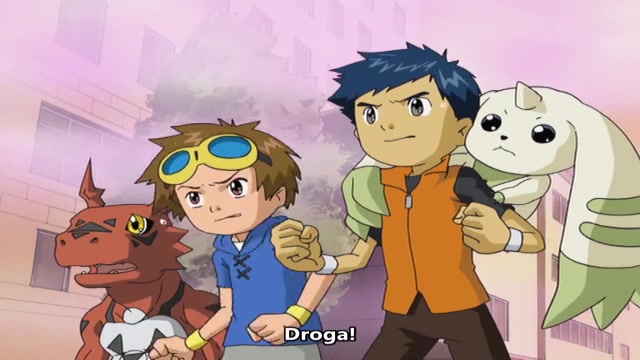 Digimon Tamers Episódio - 19O orgulho de Impimon
