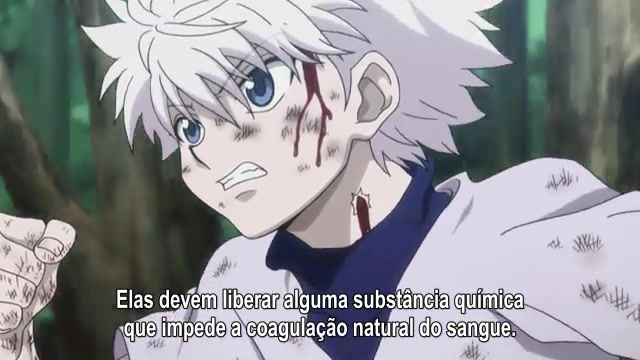 Assistir Anime Hunter x Hunter (2011) Dublado e Legendado - Animes Órion