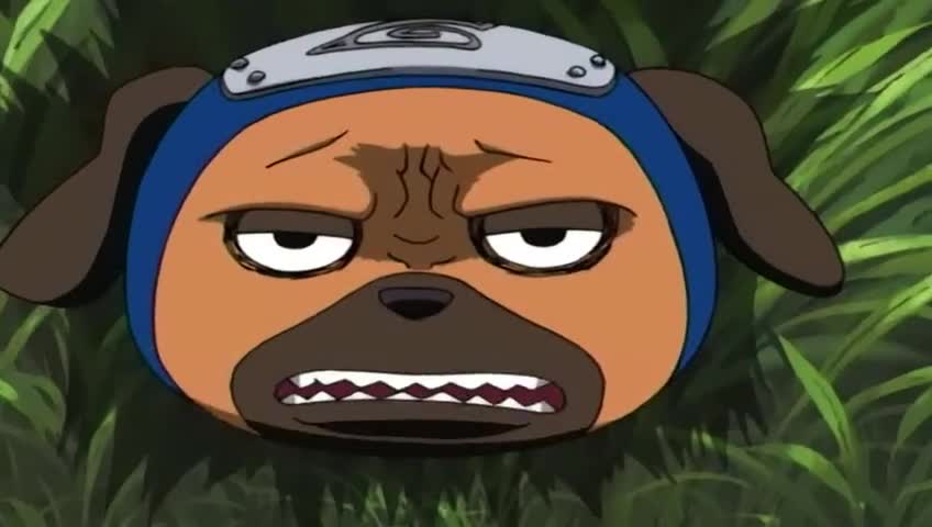 Naruto Dublado Episódio - 144Uma Nova Equipe! Duas Pessoas e Um Cachorro?!