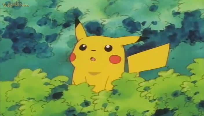 Pokemon Dublado Episódio - 41O Adeus de Pikachu!