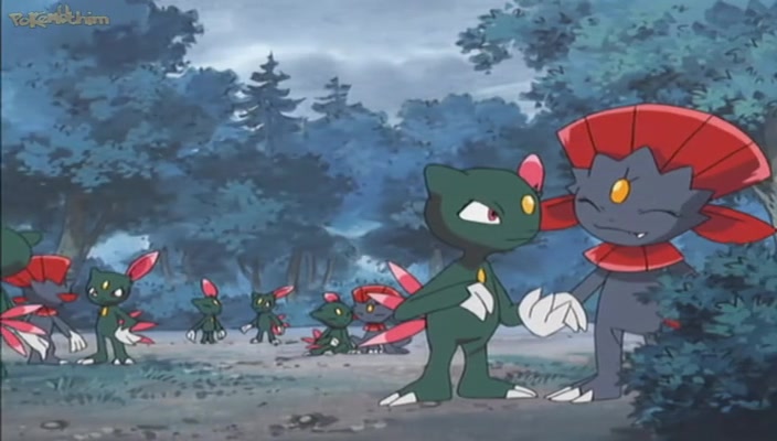 Pokemon Dublado Episódio - 462Duelos da Selva!