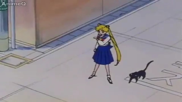 Sailor Moon S Dublado Episódio - 24Nenhum titulo oficial ainda.
